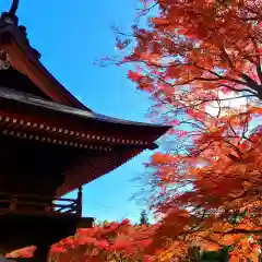 普門寺(切り絵御朱印発祥の寺)(愛知県)