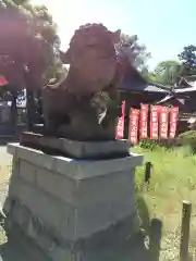 赤城久伊豆神社の狛犬