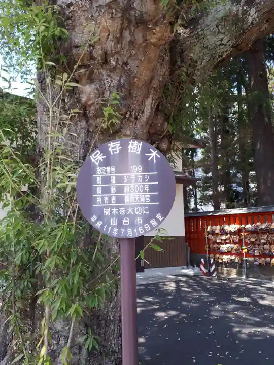 榴岡天満宮の自然