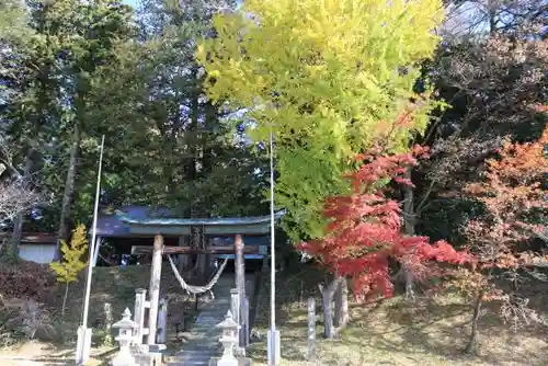 城山八幡神社の鳥居