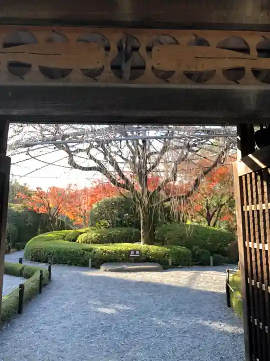 退蔵院の山門・神門