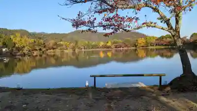 大覚寺(京都府)