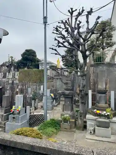 長久寺の{uncategorized: "未分類", other: "その他", undefined: "問題あり", building: "その他建物", grave: "お墓", sacred_gate: "鳥居", guardian: "狛犬", statue: "像", buddha: "仏像", history: "歴史", nature: "自然", garden: "庭園", animal: "動物", pagoda: "塔", temizu: "手水舎", mountain_gate: "山門・神門", sanctuary: "本殿・本堂", subordinate: "末社・摂社", art: "芸術", scenery: "景色", jizo: "地蔵", ema: "絵馬", goshuin: "御朱印", omikuji: "おみくじ", items: "授与品その他", amulet: "お守り", goshuincho: "御朱印帳", eats: "食事", festival: "お祭り", votive_dance: "神楽", shichigosan: "七五三参", wedding: "結婚式", experience: "体験その他", initially: "初詣", around: "周辺", anti_infection: "感染症対策"}