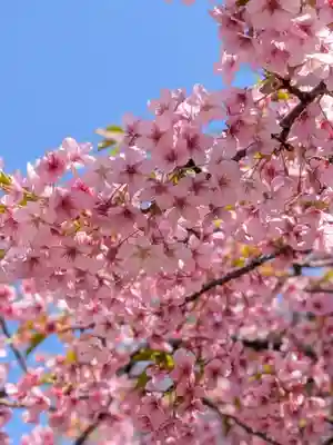 新井薬師（梅照院）(東京都)