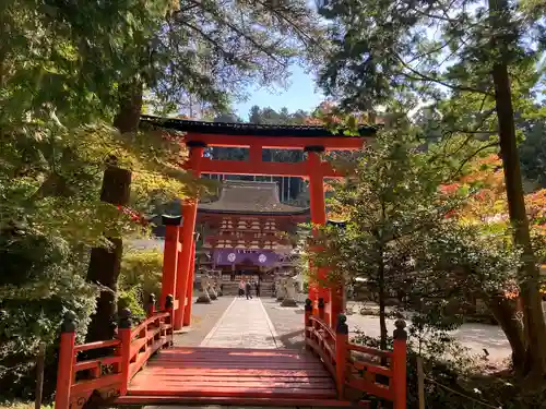 丹生都比売神社の鳥居