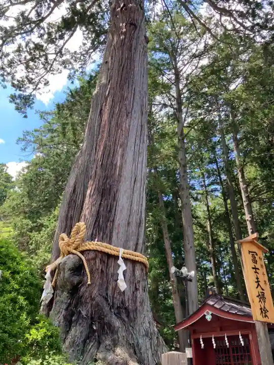 北口本宮冨士浅間神社の自然
