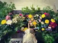 滑川神社 - 仕事と子どもの守り神の手水舎