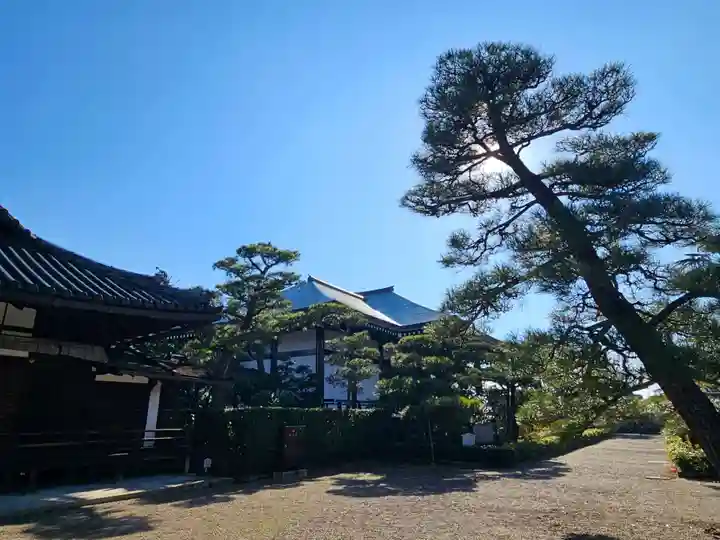 中宮寺(奈良県)