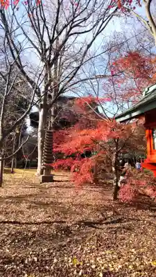淨眞寺(東京都)