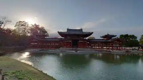 平等院の{uncategorized: "未分類", other: "その他", undefined: "問題あり", building: "その他建物", grave: "お墓", sacred_gate: "鳥居", guardian: "狛犬", statue: "像", buddha: "仏像", history: "歴史", nature: "自然", garden: "庭園", animal: "動物", pagoda: "塔", temizu: "手水舎", mountain_gate: "山門・神門", sanctuary: "本殿・本堂", subordinate: "末社・摂社", art: "芸術", scenery: "景色", jizo: "地蔵", ema: "絵馬", goshuin: "御朱印", omikuji: "おみくじ", items: "授与品その他", amulet: "お守り", goshuincho: "御朱印帳", eats: "食事", festival: "お祭り", votive_dance: "神楽", shichigosan: "七五三参", wedding: "結婚式", experience: "体験その他", initially: "初詣", around: "周辺", anti_infection: "感染症対策"}
