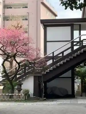 光明寺の{uncategorized: "未分類", other: "その他", undefined: "問題あり", building: "その他建物", grave: "お墓", sacred_gate: "鳥居", guardian: "狛犬", statue: "像", buddha: "仏像", history: "歴史", nature: "自然", garden: "庭園", animal: "動物", pagoda: "塔", temizu: "手水舎", mountain_gate: "山門・神門", sanctuary: "本殿・本堂", subordinate: "末社・摂社", art: "芸術", scenery: "景色", jizo: "地蔵", ema: "絵馬", goshuin: "御朱印", omikuji: "おみくじ", items: "授与品その他", amulet: "お守り", goshuincho: "御朱印帳", eats: "食事", festival: "お祭り", votive_dance: "神楽", shichigosan: "七五三参", wedding: "結婚式", experience: "体験その他", initially: "初詣", around: "周辺", anti_infection: "感染症対策"}