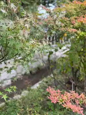 穂高神社本宮(長野県)