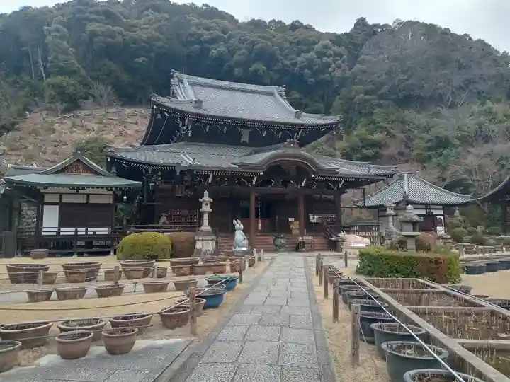 三室戸寺(京都府)