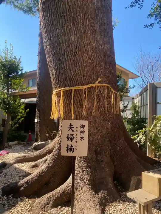 鳩ヶ谷氷川神社の{uncategorized: "未分類", other: "その他", undefined: "問題あり", building: "その他建物", grave: "お墓", sacred_gate: "鳥居", guardian: "狛犬", statue: "像", buddha: "仏像", history: "歴史", nature: "自然", garden: "庭園", animal: "動物", pagoda: "塔", temizu: "手水舎", mountain_gate: "山門・神門", sanctuary: "本殿・本堂", subordinate: "末社・摂社", art: "芸術", scenery: "景色", jizo: "地蔵", ema: "絵馬", goshuin: "御朱印", omikuji: "おみくじ", items: "授与品その他", amulet: "お守り", goshuincho: "御朱印帳", eats: "食事", festival: "お祭り", votive_dance: "神楽", shichigosan: "七五三参", wedding: "結婚式", experience: "体験その他", initially: "初詣", around: "周辺", anti_infection: "感染症対策"}