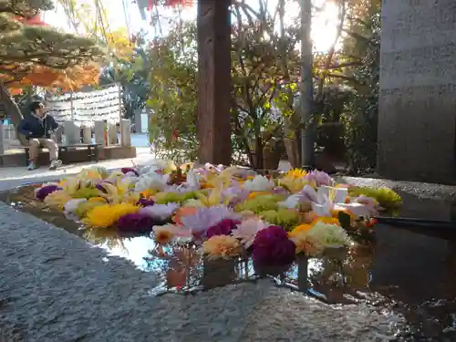 紅葉八幡宮の手水舎