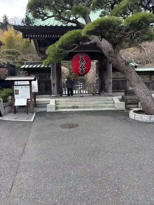 長谷寺(神奈川県)