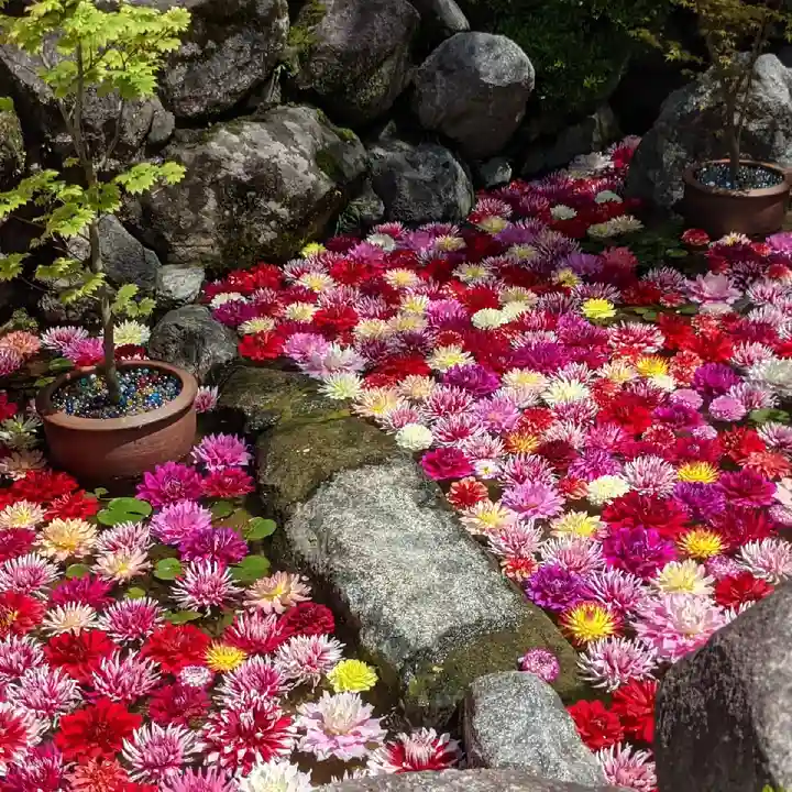 岡寺(龍蓋寺)(奈良県)