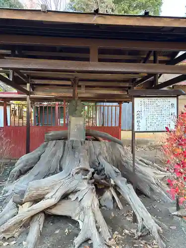八坂神社(群馬県)