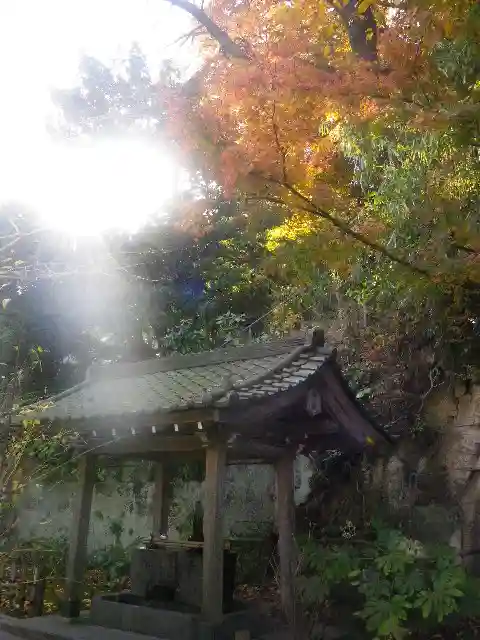 安國論寺(安国論寺)の手水舎