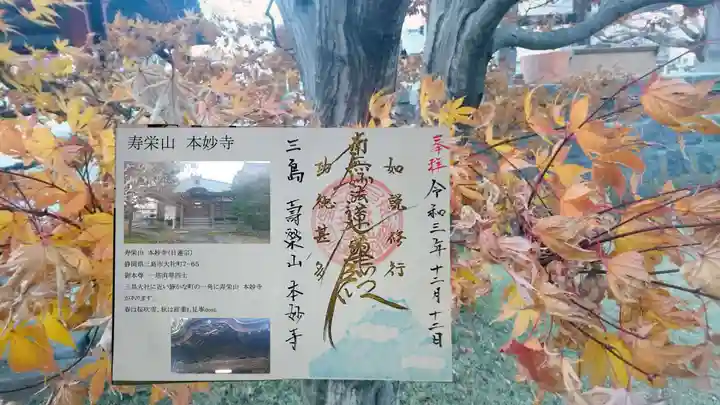 本妙寺の御朱印