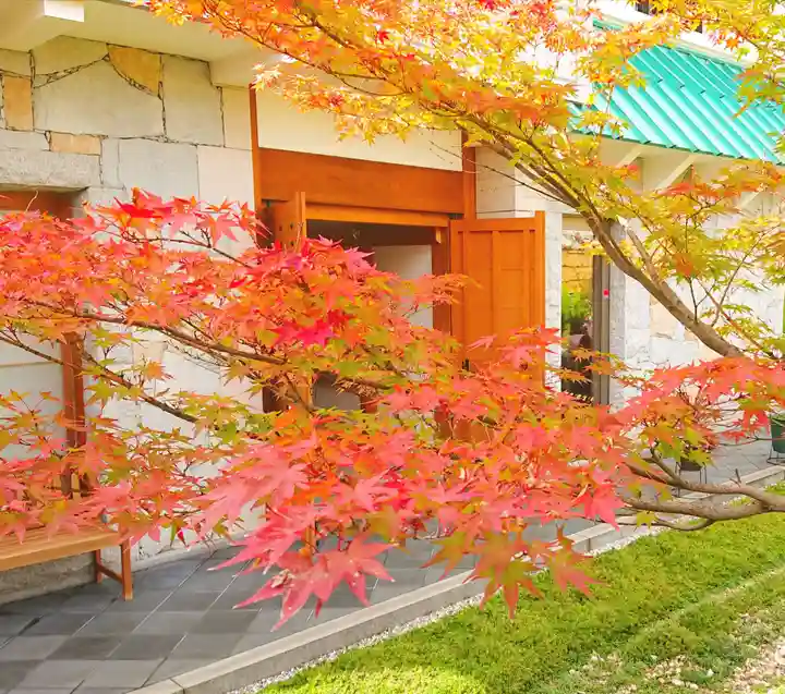 寿量山 速成寺の自然
