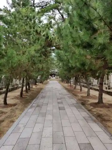 讃岐國分寺の建物その他