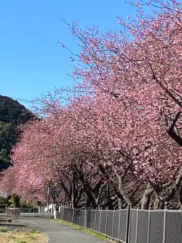 川津来宮神社(静岡県)