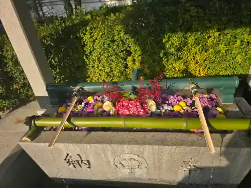 伊和志津神社の{uncategorized: "未分類", other: "その他", undefined: "問題あり", building: "その他建物", grave: "お墓", sacred_gate: "鳥居", guardian: "狛犬", statue: "像", buddha: "仏像", history: "歴史", nature: "自然", garden: "庭園", animal: "動物", pagoda: "塔", temizu: "手水舎", mountain_gate: "山門・神門", sanctuary: "本殿・本堂", subordinate: "末社・摂社", art: "芸術", scenery: "景色", jizo: "地蔵", ema: "絵馬", goshuin: "御朱印", omikuji: "おみくじ", items: "授与品その他", amulet: "お守り", goshuincho: "御朱印帳", eats: "食事", festival: "お祭り", votive_dance: "神楽", shichigosan: "七五三参", wedding: "結婚式", experience: "体験その他", initially: "初詣", around: "周辺", anti_infection: "感染症対策"}