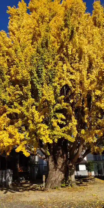 八大龍王辨財天(京都府)