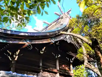 津島社の本殿・本堂