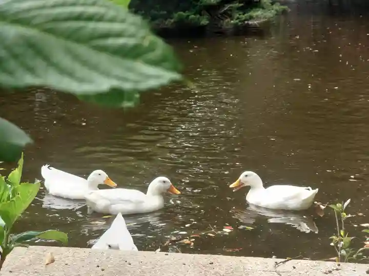 平塚八幡宮(神奈川県)