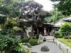 常照寺(神奈川県)