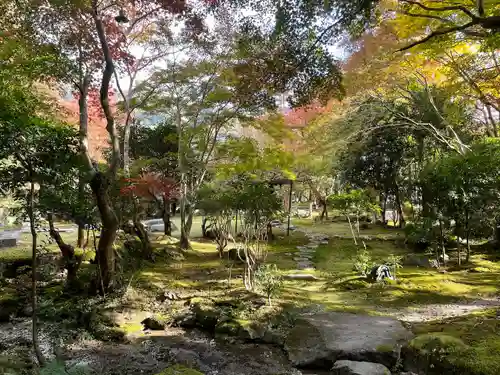 栖賢寺の庭園