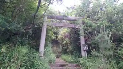 愛宕神社の鳥居