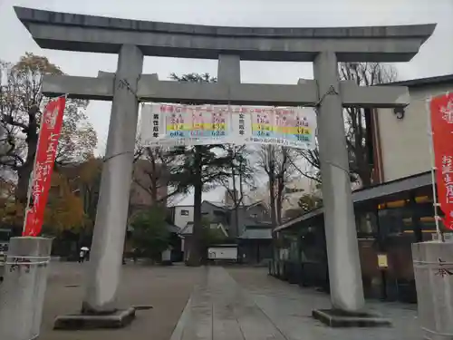 亀有香取神社の鳥居