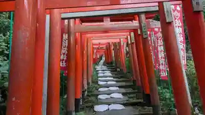 佐助稲荷神社の鳥居
