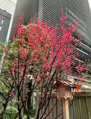 福徳神社（芽吹稲荷）の自然