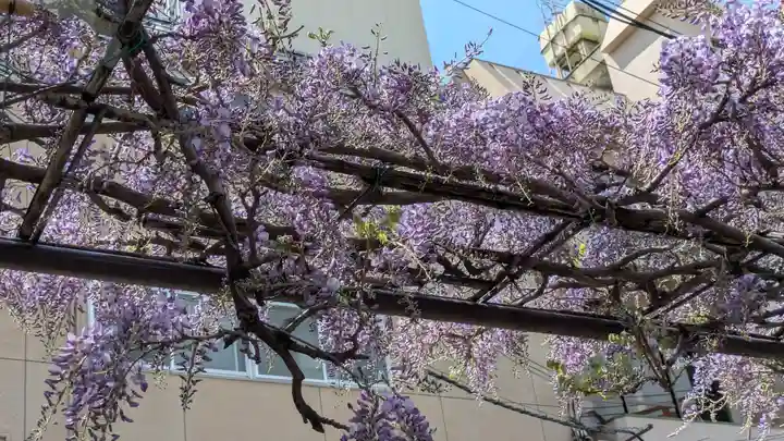 妙壽禅寺(妙寿寺)(大阪府)