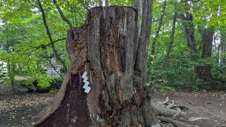 帯廣神社の自然
