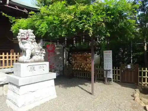 お三の宮日枝神社の狛犬