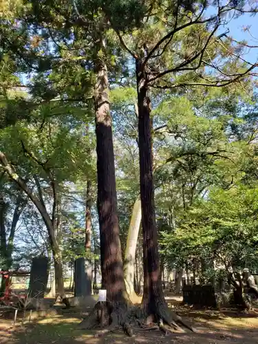 東蕗田天満社の自然