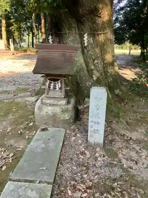 稲田神社(茨城県)