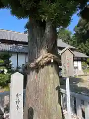 村國神社(岐阜県)