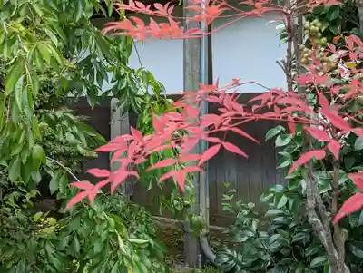 常徳寺(京都府)