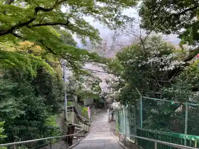若宮八幡宮(神奈川県)