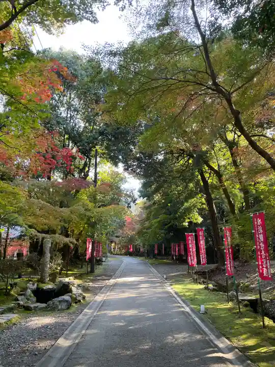 醍醐寺(京都府)