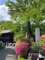 等覚院(神奈川県)