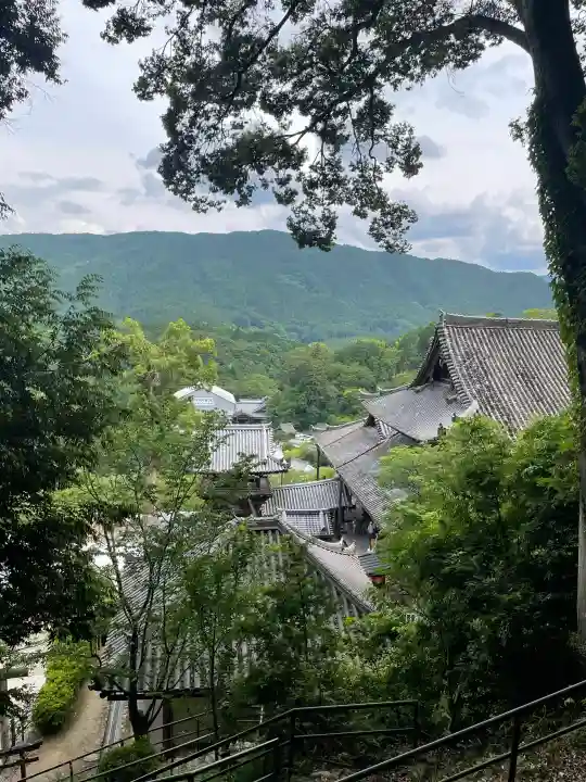 長谷寺(奈良県)