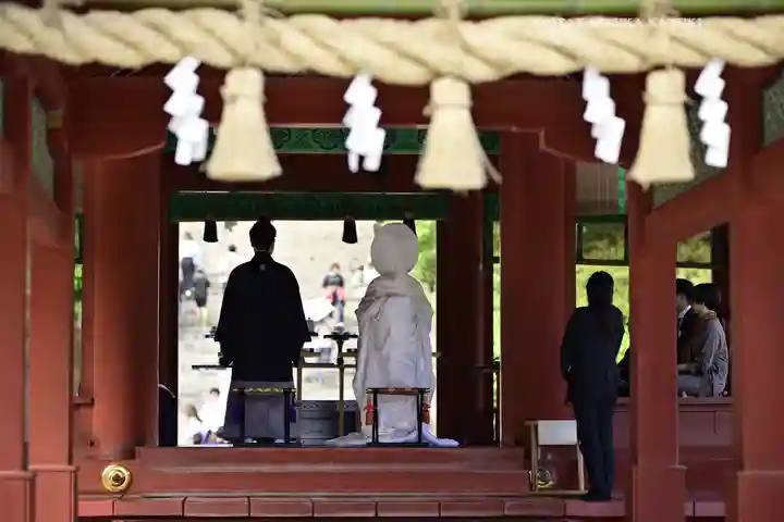 鶴岡八幡宮(神奈川県)