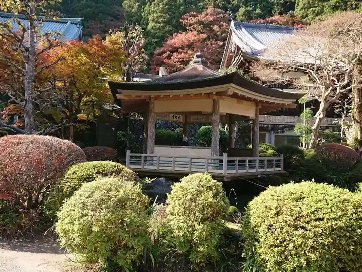 最乗寺(道了尊)の神楽